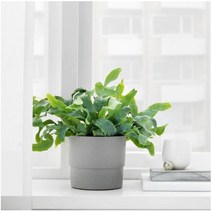 고급 플라스틱 화분 뉘폰 실내외 화분 이케아 이탈리아 가드닝 테라스 인테리어, 뉘폰24cm