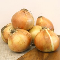 국내산 햇양파 요리용 중/대, 1kg, 1개