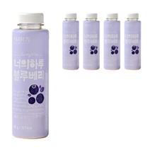 팜79 너의하루 블루베리, 50g, 5개