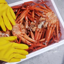 포항 구룡포 자숙 살통통 맛있는 홍게, 해각포(홍게다리포)40g+40g