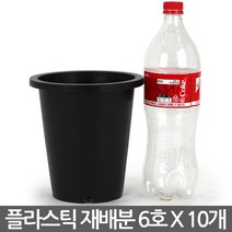 플라스틱 재배분 4호~7호(10개) - 화분 플라스틱분 양란 녹차 난화분 란화분 난재배분 양란화분 난재배 녹차재배분 긴화분, 03_청운_재배분(6호) X 10개