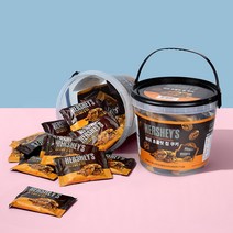 허쉬 초콜릿칩 쿠키 통, 400g, 1개