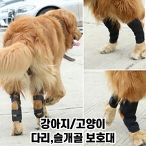 최강몰 강아지 쓸개골 슬개골 골절 관절염 탈구 보조기 보호대 S M L XL, 1개, 40g