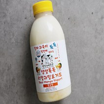 [평창보배목장] 생생톡톡 과일요거트 망고 500ml, 단품