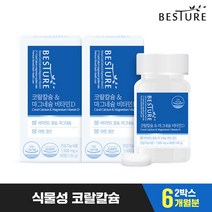 [베스처] 코랄 칼슘 앤 마그네슘 비타민D 2병(6개월분), 단품, 단품