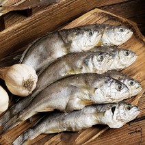 국산굴비 영광 못난이 파지굴비 3호 20마리 가정용 참조기, 못난이 굴비 3호, 1개