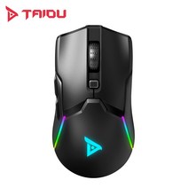 TAIDU 타이두 TSG608 유무선 RGB 게이밍 마우스, 블랙