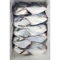 국산 생물 참병어 1미(300g내외) 회 구이 조림, 병어3미(1kg내외)