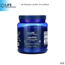 라이프 익스텐션 레시틴 가루 파우더 타입 454g