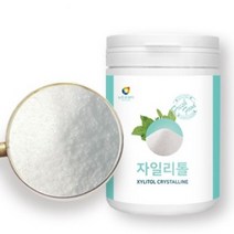 NTW 핀란드 자일리톨 가루 분말 400g 설탕 대신 자일리톨 파우더 대체당