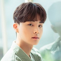 남성 탑스타일 애즈 펌 남자가발, L, 브라운믹스