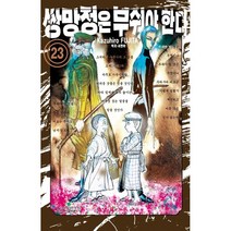 만화 | 쌍망정은 부숴야 한다 23권