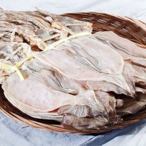 동해안 마른오징어 20미(1kg 내외) 당일바리 건 오징어, 단품