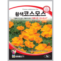 황색코스모스 씨앗 3g 꽃씨