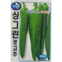 (고추씨앗) 싱그린고추 씨앗 50립-아삭한 오이고추