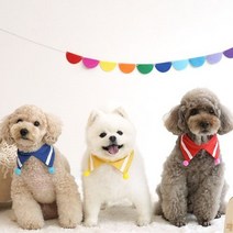 폼폼 스카프 블루 목악세사리 반다나 케이프 목걸이 고양이 스카프 빕 머플러 강아지 애견, 쿠쿠팡 1, 쿠쿠팡 본상품선택