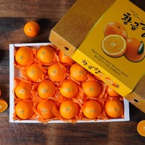 미미의밥상 [제주직송] 서귀포 황금향 프리미엄 선물세트 5kg 중과 (21-29과), 1