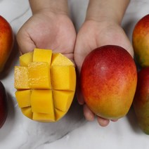 수입망고 프리미엄 고당도 애플망고 2k 4k 사과망고, 2kg, 1개