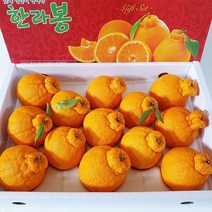 제주 민성농원 산지직송 한라봉 5kg (가정용/22~24과) 고당도 당일수확