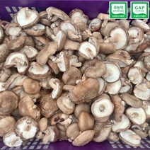 산지직송 표고버섯 / 무농약 GAP 인증 / 실속형 / 대용량 / 신선포장, 실속형 2kg, 1개