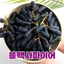 푸릇푸릇 고당도 가지포도 블랙사파이어 포도 씨없는포도 스윗사파이어 1kg (호주산), 2.블랙 사파이어 포도 2kg(2팩)