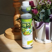 YJ 원예용 식물영양제 화분영양제 구머스 A375 512128EA, 영진쿠팡 본상품선택