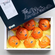 [산지에서바로] 고당도 제주 레드향 프리미엄 선물세트, [보자기포장] 레드향 3kg 중과 (12-14과)