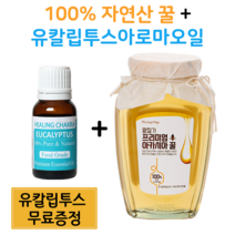 100프로 자연산꿀 토종꿀 2.4 kg 1.2 kg 비염 천연 식용 유칼립투스 오일 식용 100% 허브오일 무료증정 식용 유칼립투스오일 꿀, 자연산 꿀 2.4 kg+유칼립투스 아로마(무료)