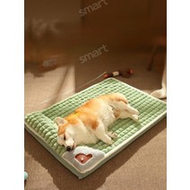 큰개집 야외개집 애견하우스 대형개집 강아지펜스 대형견집 견사 야외강야지집, 특대3XL-60캐티, [보통스타일랜덤컬러]겨울따뜻한패드