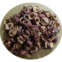산사(증국산)500g 씨앗뺀것/산사자 산사열매 자연산 오미자 구기자 산수유 건율 감초 토봉령, 500g, 1개