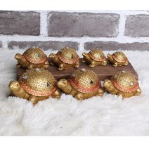 금빛 거북이 7종