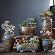 피제닉 다육이화분 세트 미니 식물 화분 다육화분, 수제화분 5종세트