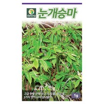 밀크티쓸 흰무니 엉겅퀴 2g - 씨 씨앗 밀크씨슬 엉겅퀴씨앗 나물 나물씨앗 채소씨 채소씨앗 흰무니엉겅퀴, 02_다농_눈개승마(1g)