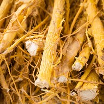 봉래종합약초 국산 꾸지뽕뿌리 600g/한방/건강/약초/약재 식품 > 건강식품 전통건강식품 기타전통건강식품/한방재료, 1, 600g, 600g” class=”wr-img”></a></div>
</div>
</div>
</div>
<div class=