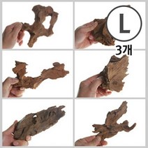 맹그로브 유목 대형 22~30cm 3개