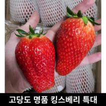 산지직송 국내산 고당도 프리미엄 킹스베리딸기 800g 특대 왕 대왕 딸기 명품 킹스베리 특대과 특 특대 왕특 대왕딸기 왕딸기 생딸기 국산 딸기, 특대과 400g (8~9구)