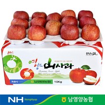 경북 영양농협 사과 꿀부사 상품 10kg 28-32과, 단품