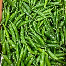 채소애 맵고 싱싱한 청양고추 500g 1kg 5kg 10kg 매운 땡초 고추, 1개