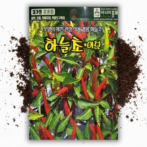 하늘초 고추씨앗 (50립) 관상 및 식용, 1개