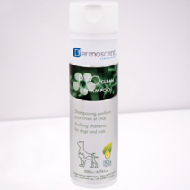 강아지 고양이 피부병 약용 샴푸 말라세지아 더모센트 파이오클린 200ml