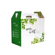 자체제작 한약박스 자연이주는선물(소) 50장