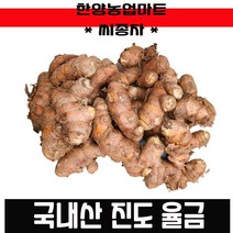 씨종자-율금종자 10kg 5kg 1kg/강황/진도/종근/씨앗/울금/종근, 1kg