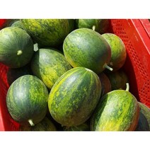 경북 파파야 메론 개구리 참외 양구메론 5kg 10kg, 파파야메론5kg(7~14과)