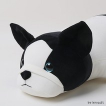 [70cm] 푸른눈 프렌치 독, 상세페이지 참조, 상세페이지 참조