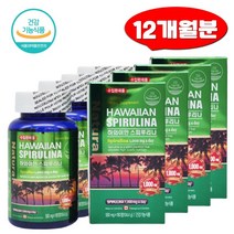 하와이안 스피루리나 지구 항산화 영양제 180정4통 엽록소 분말