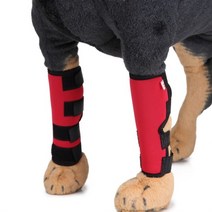 강아지 쓸개골 보호대 슬개골 보조기 143235 허벅지보호 부목, HJ02 Knee Pad Red 클래식 모델_M