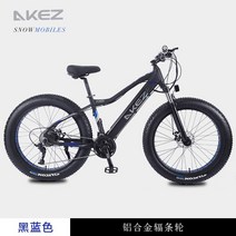 팻바이크 전기자전거 36v 48v 350w 750w 자토바이, 블랙 스포크 휠 48V750W