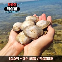 백상합 상합 백합 생합 백생합 조개탕 조개찜, 8kg, 백상합(대), 1개