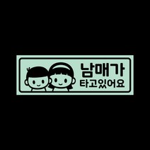 아기가타고있어요 자석 스티커 민트 LMCM-041 누나 남매