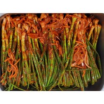 [매운찬실비찬]100% 국산 맛있는 파김치 500g/1kg, 500g, 1개